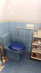 Blk 2 Haig Road (Geylang), HDB 4 Rooms #631481711